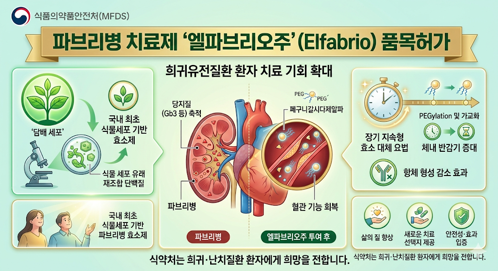 식품의약품안전처 파브리병 치료제 엘파브리오주 페구니갈시다제알파 수입 품목허가, 희귀의약품 치료 기회 확대